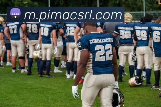 平台使命图